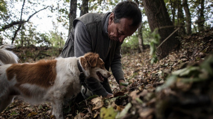 Univerzitní hafani dělají radost hlavně gurmánům