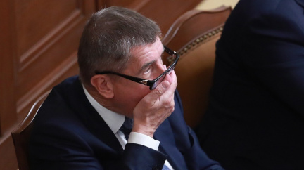 Čapí hnízdo: Stíhání Babišovy dcery nic nebrání, potvrdil znalec