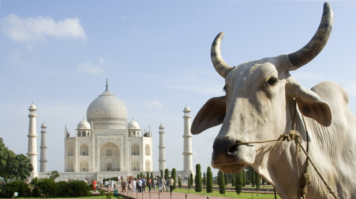 Tádž Mahal bude stát v 'jiném' městě. Kvůli muslimům mění Indie názvy měst