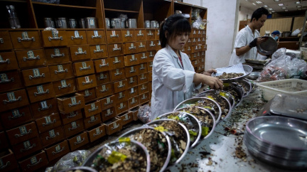 Spolknout prášek, nebo stonožku naloženou v bylinkách? Číňani mají jasno