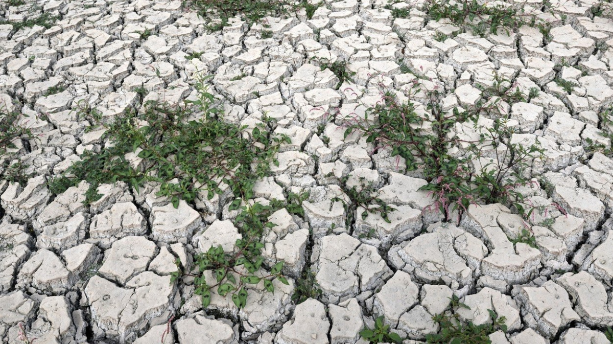 Sucho překročilo mez. Narušuje stabilitu systému, varují experti