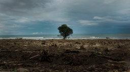 Varování před katastrofou nestačí, je nutné se na ni připravit