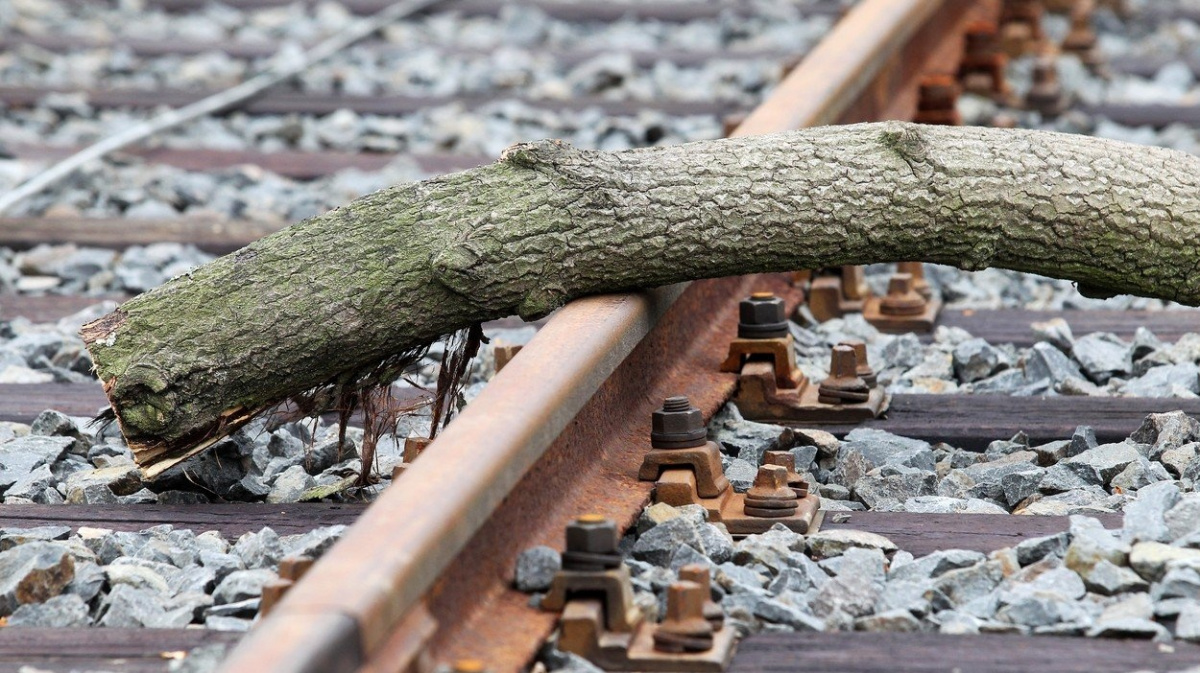 Chtěl jsem jen vyvolat odpor k migrantům, hájí se senior, který způsobil nehody vlaků