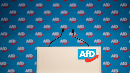 Německá rozvědka dumá co s AfD. Učiní razantní krok?