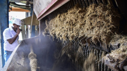 Originální pohon pohádkového ostrova