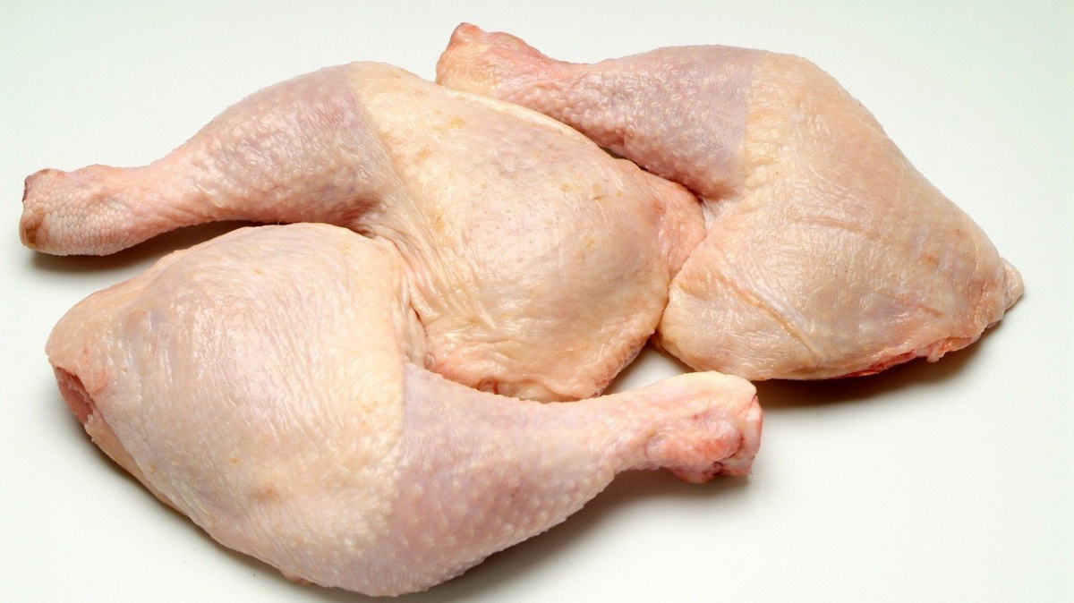 Ve více než tuně kuřat z Polska byla objevena salmonela