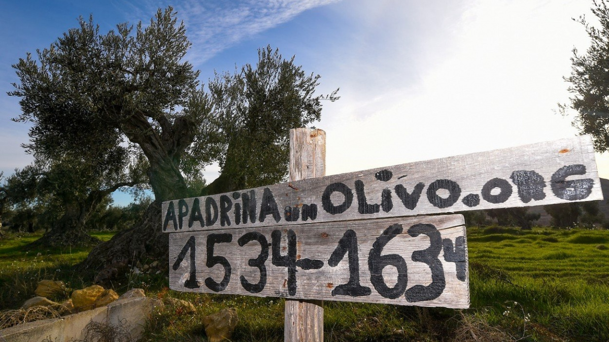 Ve Španělsku zavedli tak trochu jiné kmotrovství