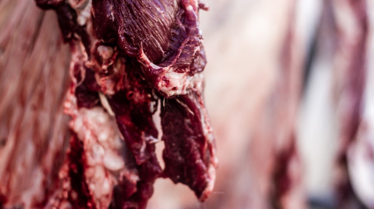 Konec kontrol hovězího se blíží - pokud Polsko splní sliby