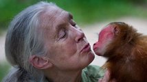 Neobyčejný příběh ženy, která změnila pohled na šimpanze