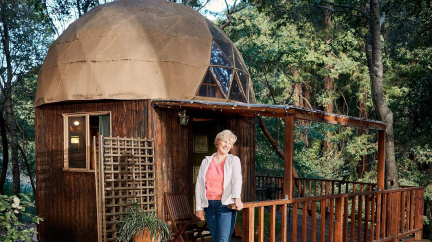 Proč si lidé jezdí odpočinout do domku ve tvaru lesní houby