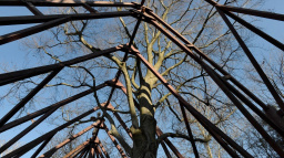 Kostel splývá s přírodou - nemá střechu ani stěny