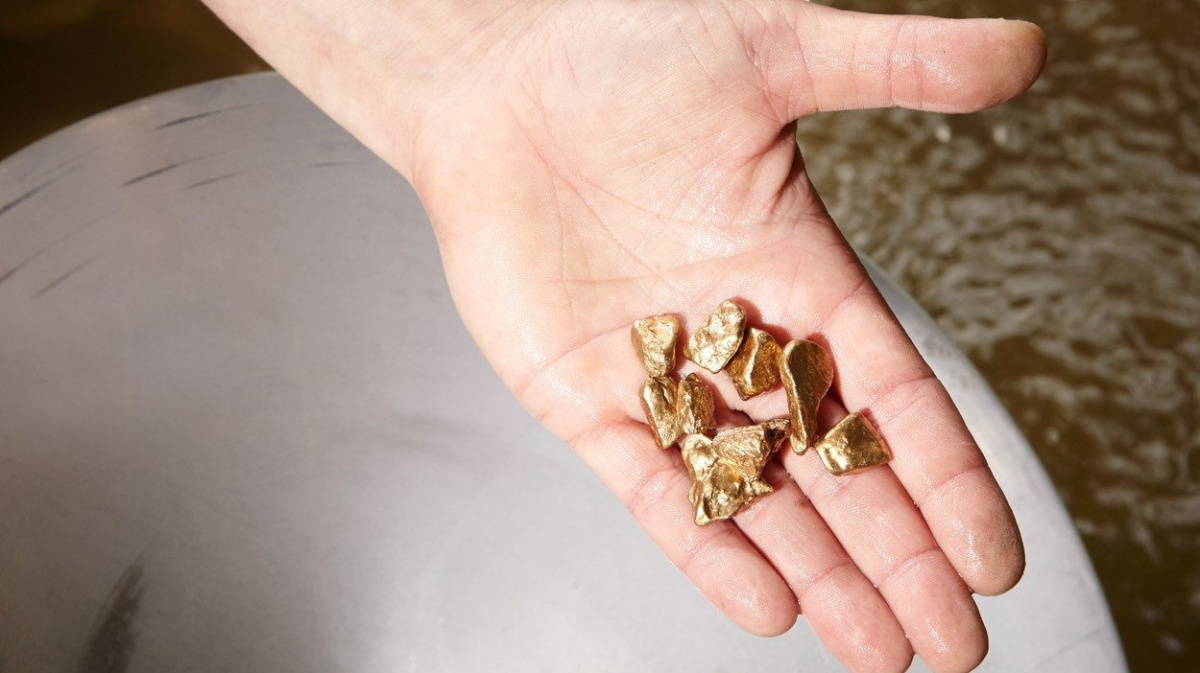 Rodina našla při venčení psa obří zlatý nuget. Doslova o něj zakopla