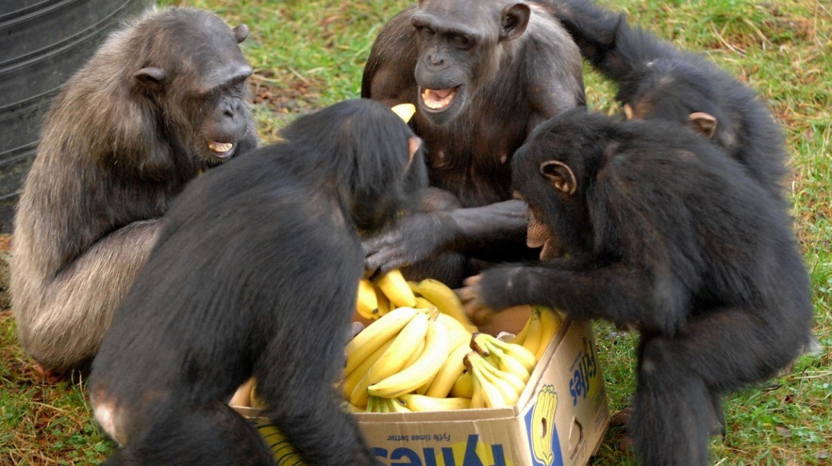 Eurovolby: Polopravda je horší než lež