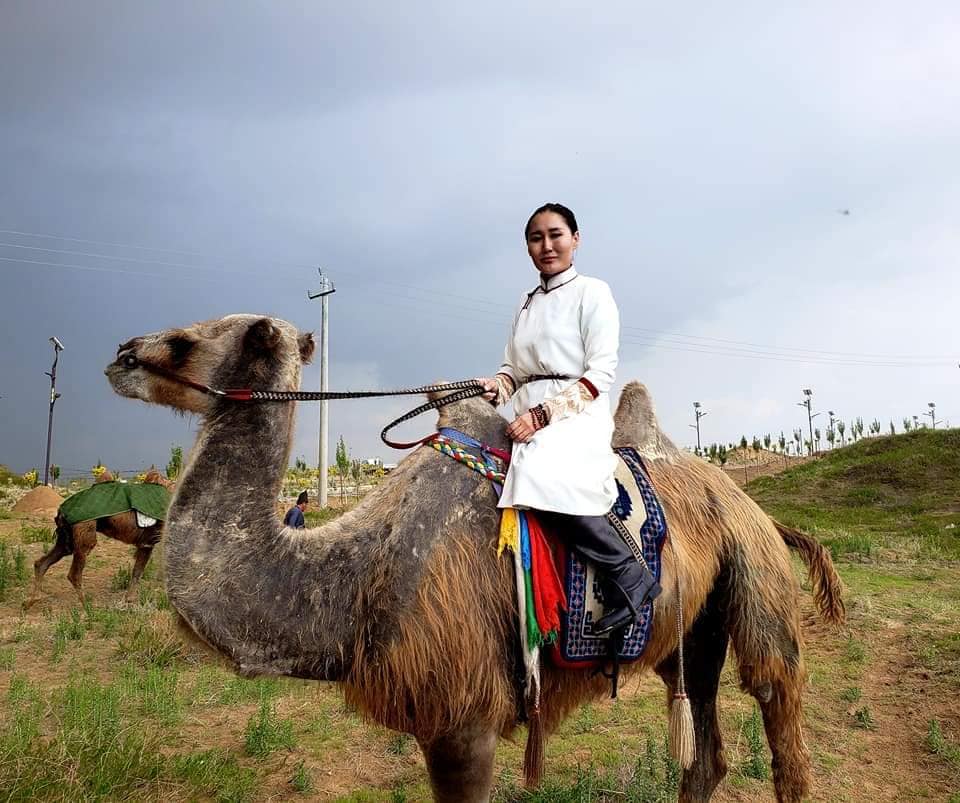 Odvážná turistka z Mongolska si plní sen. Na velbloudech míří do Londýna