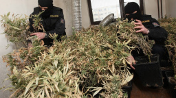 Česko zůstává evropskou varnou pervitinu