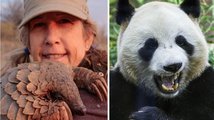 Luskouni vs. panda. Pražská kavárna dráždí Číňany