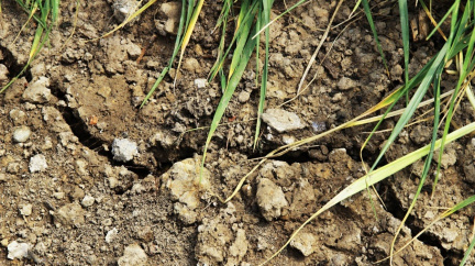Půdní sucho zasáhlo tři čtvrtiny území Česka