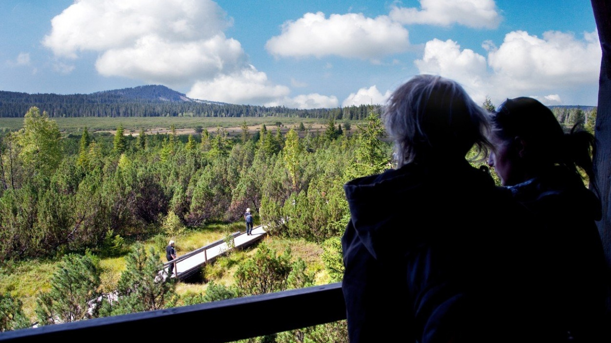 Jihočeský kraj žaluje ministerstvo kvůli projednávání zón na Šumavě