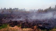 Požáry v Rusku požírají lesy, dusí lidi a ovlivňují globální klima