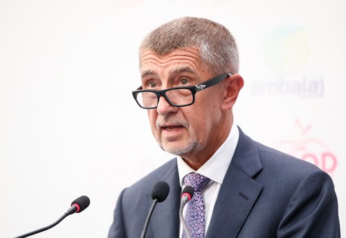 Babiš se musí omluvit za své výroky o 'zaplacených' demonstrantech