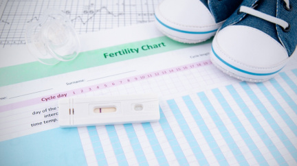10 faktů o ovulaci, které je dobré vědět, pokud plánujete otěhotnět