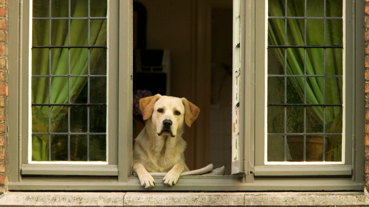 Stát je nenažraný. Vybírá od mladých rodin statisíce jako výpalné