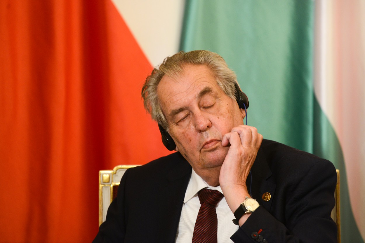 Jezevec z Vysočiny je chráněný druh. Může škodit a pomlouvat