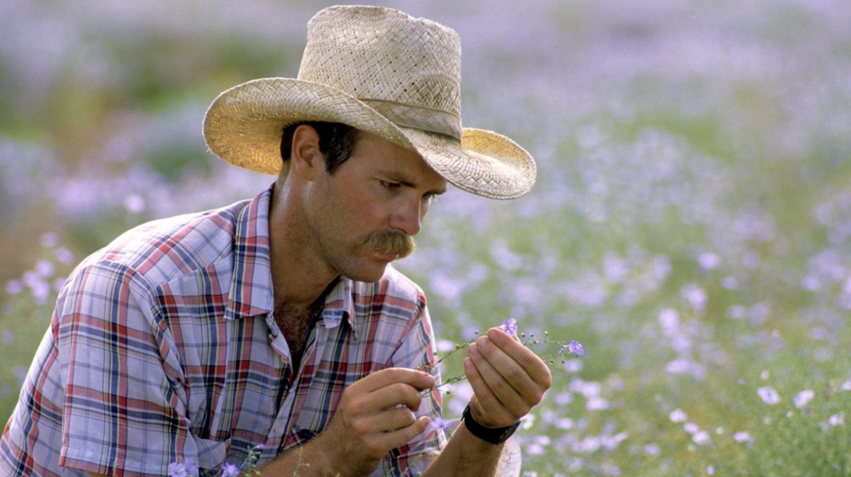 Získáváme z ní minimum energie. Tak proč vlákninu vůbec jíst?