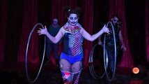 Hororový cirkus