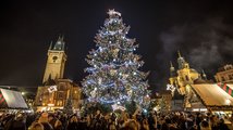 Vánoční stromy ve velkoměstech