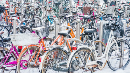 Jak cestovat, aby byla (nejen) Greta spokojená