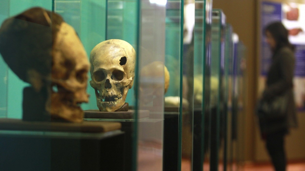 Odkud přišli záhadní dlouholebí, nad jejichž lebkami kroutí vědci hlavou?