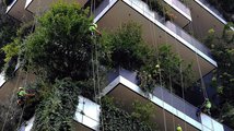 Vertikální zahrady ve městech
