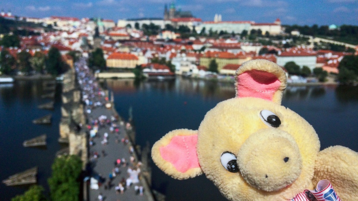 Nejpodivnější koníčky na světě