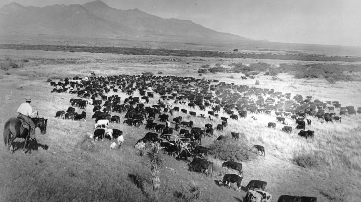 Hygiena kovbojů: Realita byla na hony vzdálená filmům