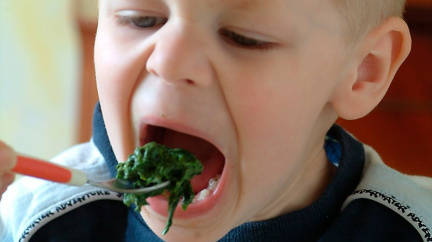 Proč děti nesnášejí špenát
