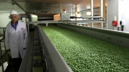 Čerstvé, mražené nebo konzervované: Jaké jídlo je lepší?