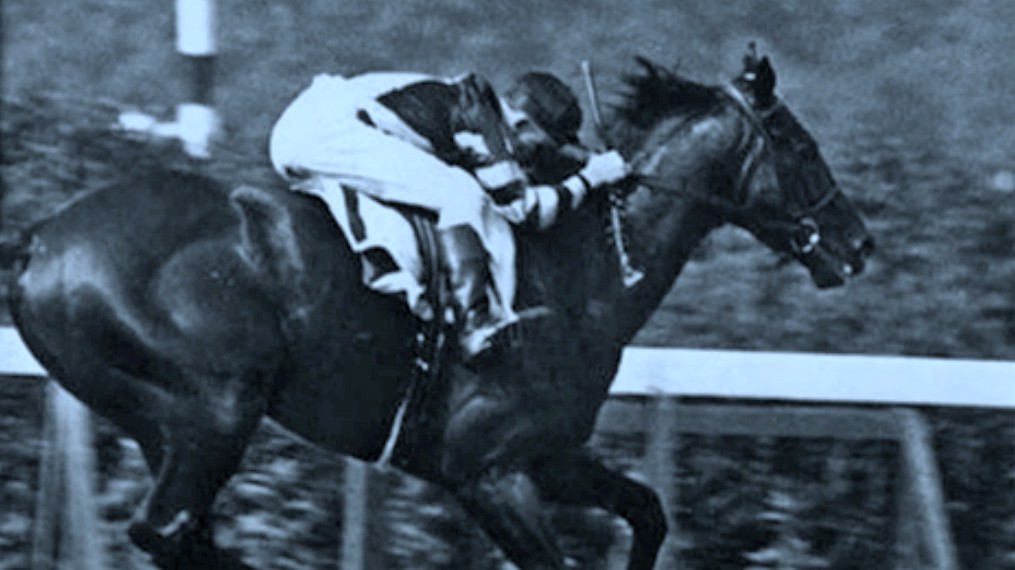 Sladký polibek smrti: Dostihový kůň vyhrál s mrtvolou v sedle