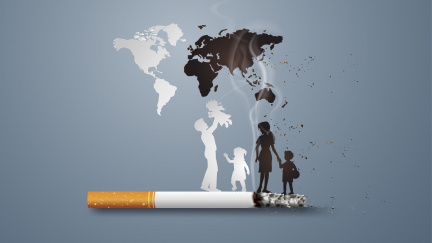 Světový den bez tabáku: Odborníci obrátili svou kritiku proti tabákové lobby i celebritám