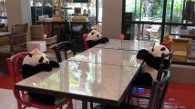 Pandí restaurace