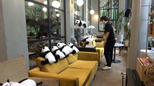 Pandí restaurace