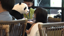 Pandí restaurace