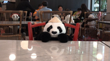 Pandí restaurace