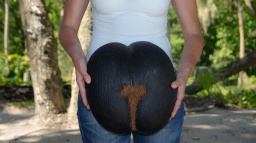 Její obří semena se šíří všude. Přesto tato palma roste jen na jednom místě