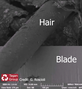 hair-blades-1