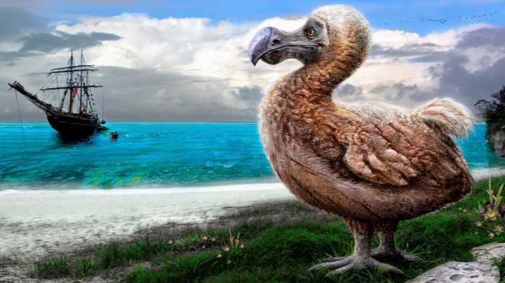 Ze studie vychází, že Češi se za koronaviru chovají jako blbouni nejapní