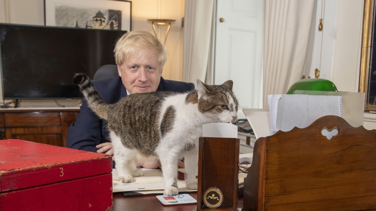 Premiéři přicházejí a odcházejí, Larry zůstává. Už deset let