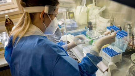 Aktualizováno: V Česku potvrzena nakažlivější jihoafrická mutace koronaviru
