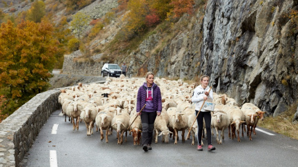 Škola pro pastýřky chce nastolit rovnoprávnost na španělském venkově