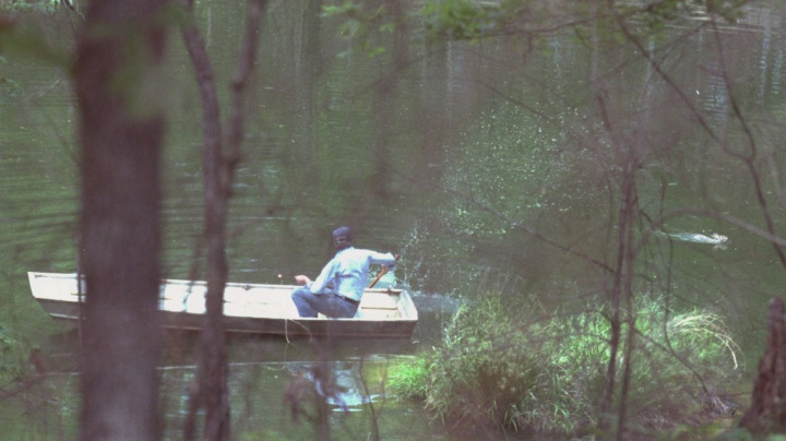 Jak králík napadl prezidenta a prohrál mu volby